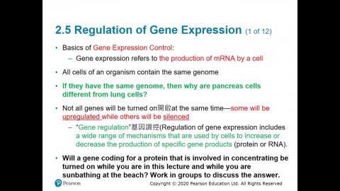 108-2 生物科技概論 04.13.mp4