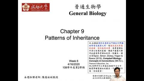 普通生物學 Ch9 Patterns of Inheritance (2020-04-16,第一節)