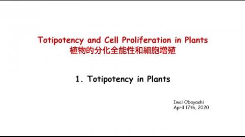 生命科学概論20200417-1