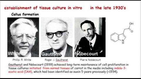 生命科学概論 20200417-3