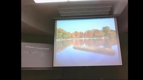 2020-04-17 13-00-00_Trim.mp4