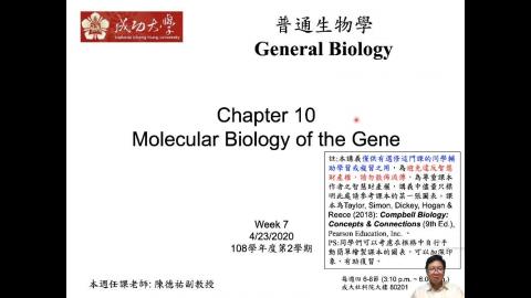 普通生物學 Ch10 & 11 (2020-04-23,第一節)